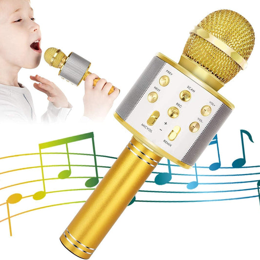 Wireless Microphone with Speaker
