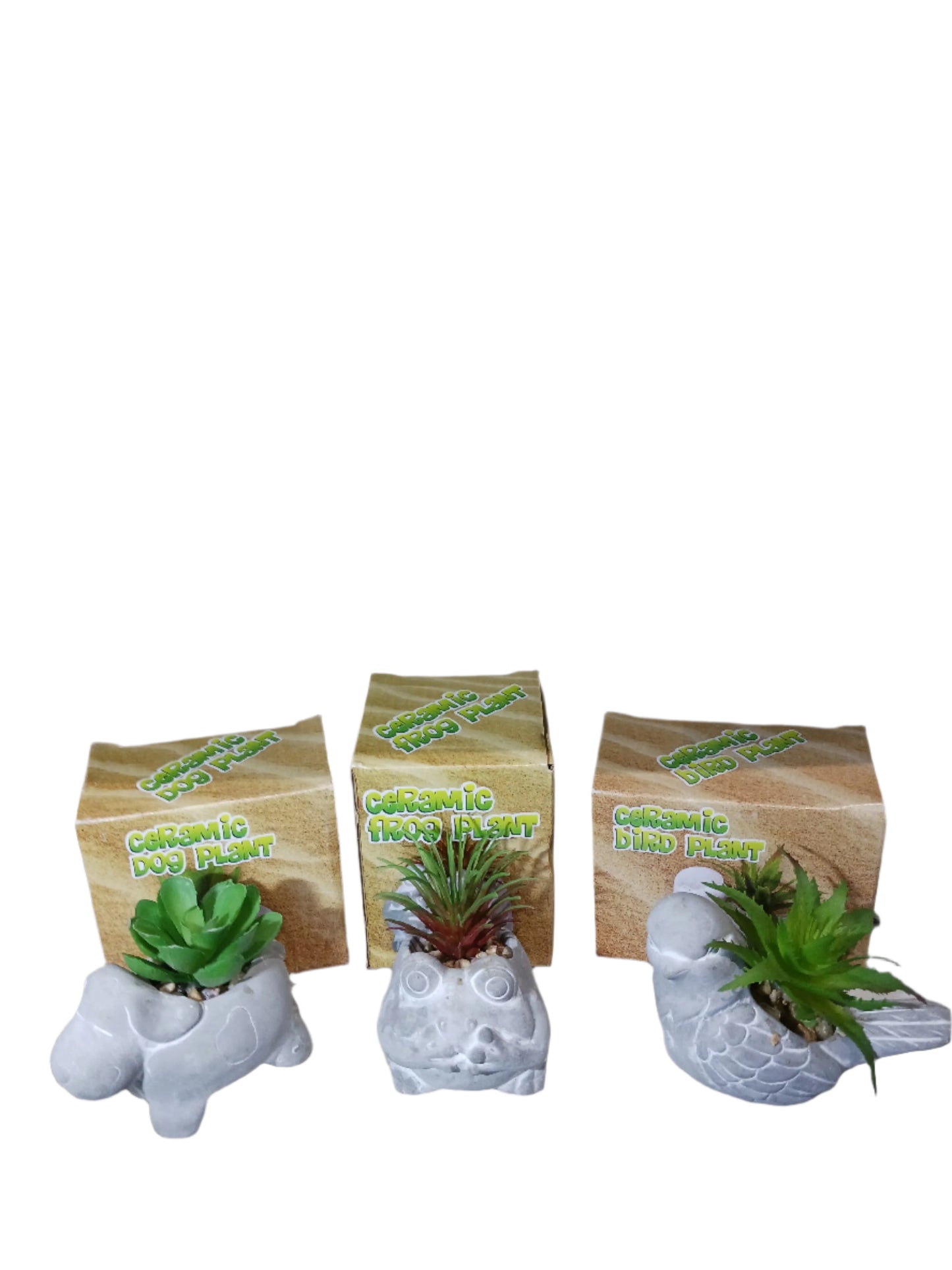 Ceramic Animal Succulents