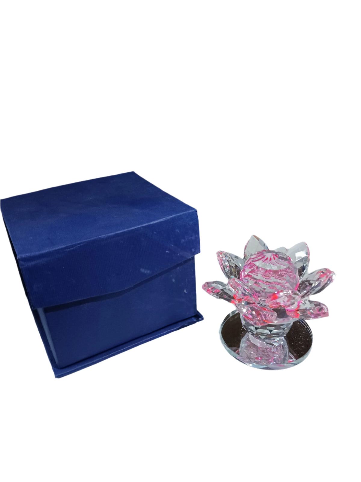 Lotus Flower