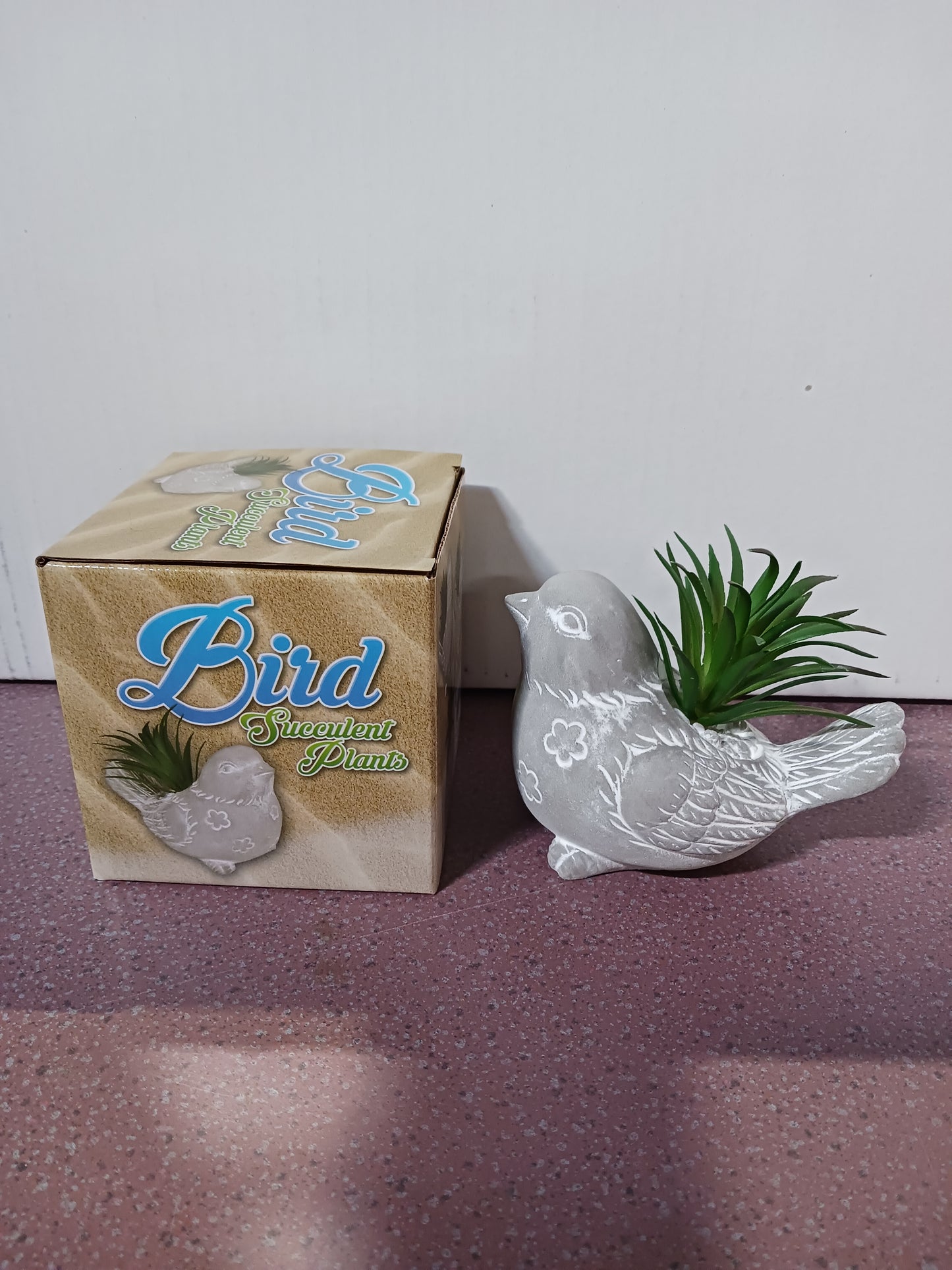 Bird Succulent Plant